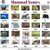 Endangered and critically endangered are the lowest categories on the iucn red list. 1