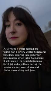 say what you will about this content because at least i used “POV”  correctly