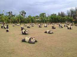 Panda Garden At Dannok Sadao Near Thailand Malaysia Border Travel Dolores Park Park