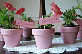 Newly Loved Baby Shower Flowers Baby Shower Favors Baby Shower Centerpieces