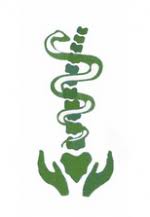 Vereinbaren sie mit mir einen behandlungstermin gerne zu flexiblen zeiten unter der telefonnummer 017690759095. Osteopathensuche Bv Osteopathie