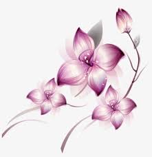 Large collections of hd transparent wedding flowers png images for free download. Violet Lotus Flower Pink Purple Flowers Png Transparent Png 600x591 Free Download On Nicepng