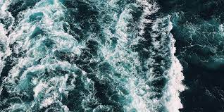 3.56(9) · согвипхо, провинция чеджу, южная корея. About Our Ocean The Ocean Foundation