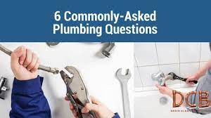 These bugs seem to be present at all times of the year and are a frustrating pest to battle. 6 Commonly Asked Plumbing Questions Drain Cleaning Brisbane