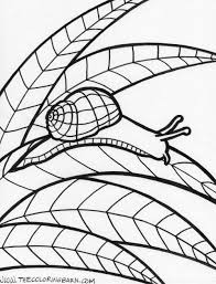 Coloring Pages Of Jungle Animals Pin Rain Forest Animals Coloring Animal Coloring Pages Coloring Pages Colouring Art Therapy