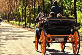 THE BEST 10 Europe Horse Carriage Rides ...