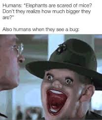 Pin On Memes