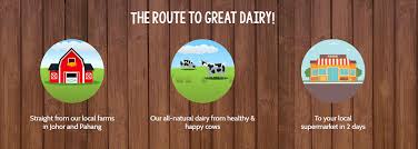 All our products are made from fresh milk, contain no preservatives and colorings and are freshly bottled at our plant in johor bahru before being transported to your local supermarket! Farm Fresh Milk From Farm To Supermarket Shelf In 48 Hours Malaysian Flavours
