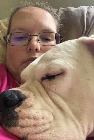 Boxer dog aggressive towards hugging and holding hands