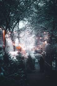 1001 Photos Fantastiques De Paysage Enneige Photo D Hiver Fond Ecran Noel Paysage