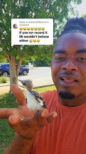 Damion Yella P Pearson