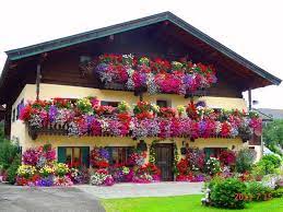 blumenhaus st martin bei lofer schone garten topfblumen pflanzen
