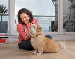 We provide personalized care for pet owners while working hand in hand with referring veterinarians to offer specialty services for their clients. Lotus Veterinary
