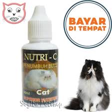 Sementara untuk vitamin kucing pertumbuhan bulu dipatok dengan harga yang jauh lebih murah yakni rp16.000 hingga rp90.000. Obat Kucing Bulu Rontok Vitamin Penumbuh Bulu Kucing Nutri C Lazada Indonesia