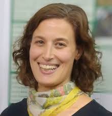 Miembros no Permanentes