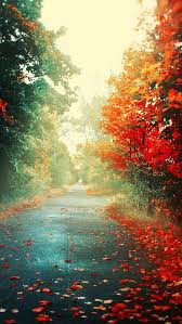 Feel free to send us your own. 49 Hd Nature Wallpaper For Iphone On Wallpapersafari