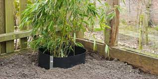 Cloture piscine castorama barriere beethoven impressionnant anti rhizome barriere beethoven. Barrieres Anti Rhizomes Et Anti Racines Des Protections Efficaces Contre Les Plantes Envahissantes