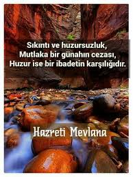 Kerim Duran Adli Kullanicinin Elektronik Kolik Panosundaki Pin Yasam Mottosu