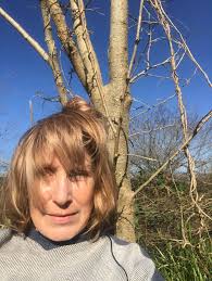 What is happening in the Webster Avenue median? You may have noticed some  changes in the Webster Avenue median north of University Avenue. In 2018,  the City installed a series of vegetated