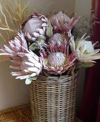 Outstanding King Proteas To Liven Up Your Entrance Hall Www Petalmania Co Za Freeze Dried Flowers Dried Flowers Beautiful Floral Decor