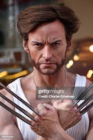 12.308 fotos e imagens de alta resolução de Wolverine