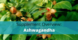 It is basically a plant, whose roots and berries are used to make medicine.ashwagandha may even prevent heart disease. Ashwagandha Benefits Side Effects Dosage And Stacking Learn About Supplements