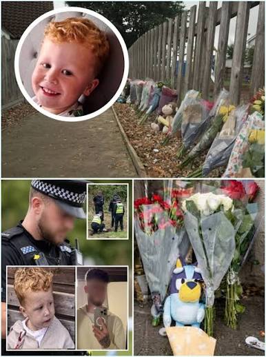 Tribute to Noah Woods after search ends