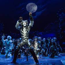 Cats broadway cast 2016 / cats has since been revived in the west end twice and on broadway once. Cats Broadway Musical 2016 Revival Ibdb