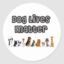 Pin On Pet Gifts