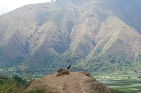 May 15, 2021 · taman wisata pusuk sembalun. Keindahan Wisata Bukit Sembalun Lombok Yang Eksotis Can Tours Lombok