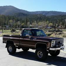 Image result for Brown 1979 GMC