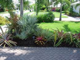 Broms Dracena Wodyetia Bifurcata Serenoa Repens Silver Dianella Coconut Creek Garden Florid Tropical Landscaping Tropical Garden Design Tropical Garden