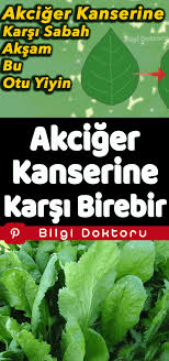 Akciger Kanserine Karsi Sabah Aksam Bu Otu Yiyin Health Eye Care Natural Magic