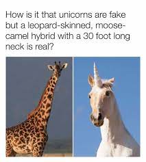 He tells them that he'll be back in a week, and warns them that his plane won't be able to what's more believable a horse with a horn or a leopard moose camel with a 40 foot neck? Dopl3r Com Memes How Is It That Unicorns Are Fake But A Leopard Skinned Moose Camel Hybrid With A 30 Foot Long Neck Is Real