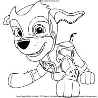 Requires 3 lr44 batteries (included). Paw Patrol Coloring Page