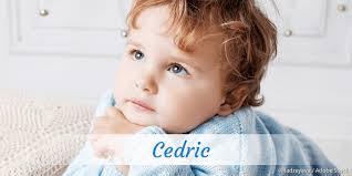 Cedric » Name mit Bedeutung, Herkunft, Beliebtheit & mehr