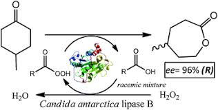Bayer aspirin may be used alone or with other medications. Chemo Enzymatic Baeyer Villiger Oxidation Of 4 Methylcyclohexanone Via Kinetic Resolution Of Racemic Carboxylic Acids Direct Access To Enantioenriched Lactone Chemical Communications Rsc Publishing