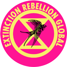 To focus on the climate's breakdown (the symptom). Extinction Rebellion Extinctionr Twitter