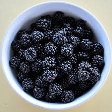 I wanted to see if anybody else is growing pomegranate trees in alabama? Alabama State Fruit Blackberry