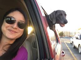 Pet Carpool Seat – Perfect Paw Store