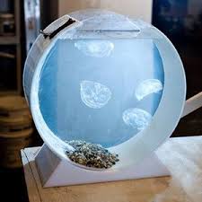 Fab Is Everyday Design Jellyfish Tank Jellyfish Aquarium Pet Jellyfish
