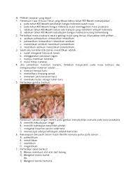 Sejarah bumi berkaitan dengan perkembangan planet bumi sejak terbentuk sampai sekarang. Latihan Pra Aksara