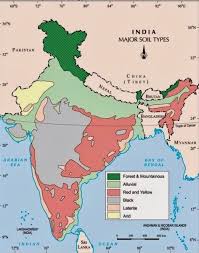 In addition, using contour tillage for consolidated soil reduced soil loss as a result of water erosion by 73.7, and 51.7%, as compared to the bare soil, and tillage of consolidated soil in up and. Icse Solutions For Class 10 Geography Soils In India A Plus Topper