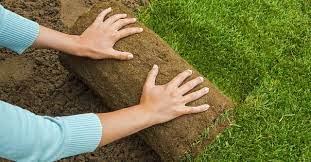 Check spelling or type a new query. The 10 Best Artificial Turf Installers In Denver Co With Free Estimates