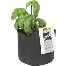 Remove the plant from the container and gently break up the sides of the root ball with your thumbs and carefully untangle any roots circling at the bottom. Root Farm Felt Medium Garden Pot Do It Best Barbados