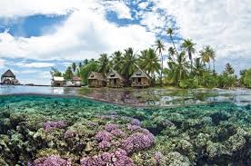 جزيرة أحبار جيزان المملكة العربية السعودية ١٩ French Polynesian Islands Tahiti Places To Travel