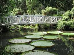 In addition to viewing the botanical gardens, approximately 50 booth will be set up selling a wide variety of plants. Kanapaha Botanical Gardens Gainesville Fl Events Place Florida Living Florida Life