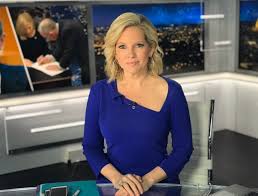 In 2017 she became the host of the program fox news @ ni. How Much Money Does Shannon Bream Make