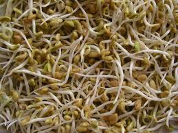 To my surprise, fenugreek seeds aren't seeds at all, but legumes! Fenugreek Herbs Are Special