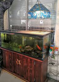 Brucette Turtle Tank Turtle Terrarium Turtle Aquarium